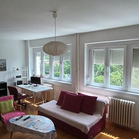 סקופיה Viva Apartment מראה חיצוני תמונה