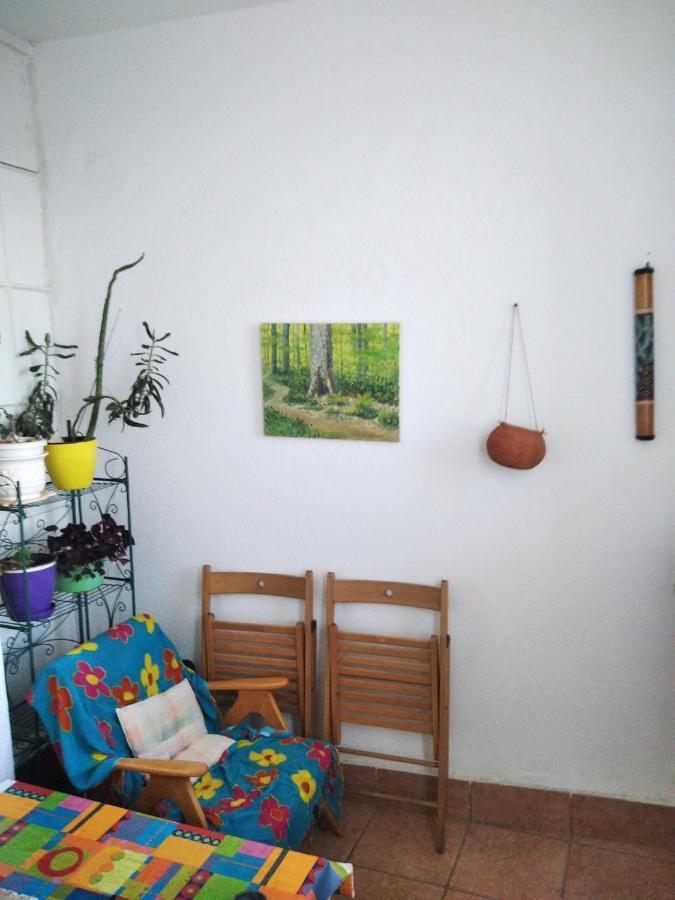 סקופיה Viva Apartment מראה חיצוני תמונה